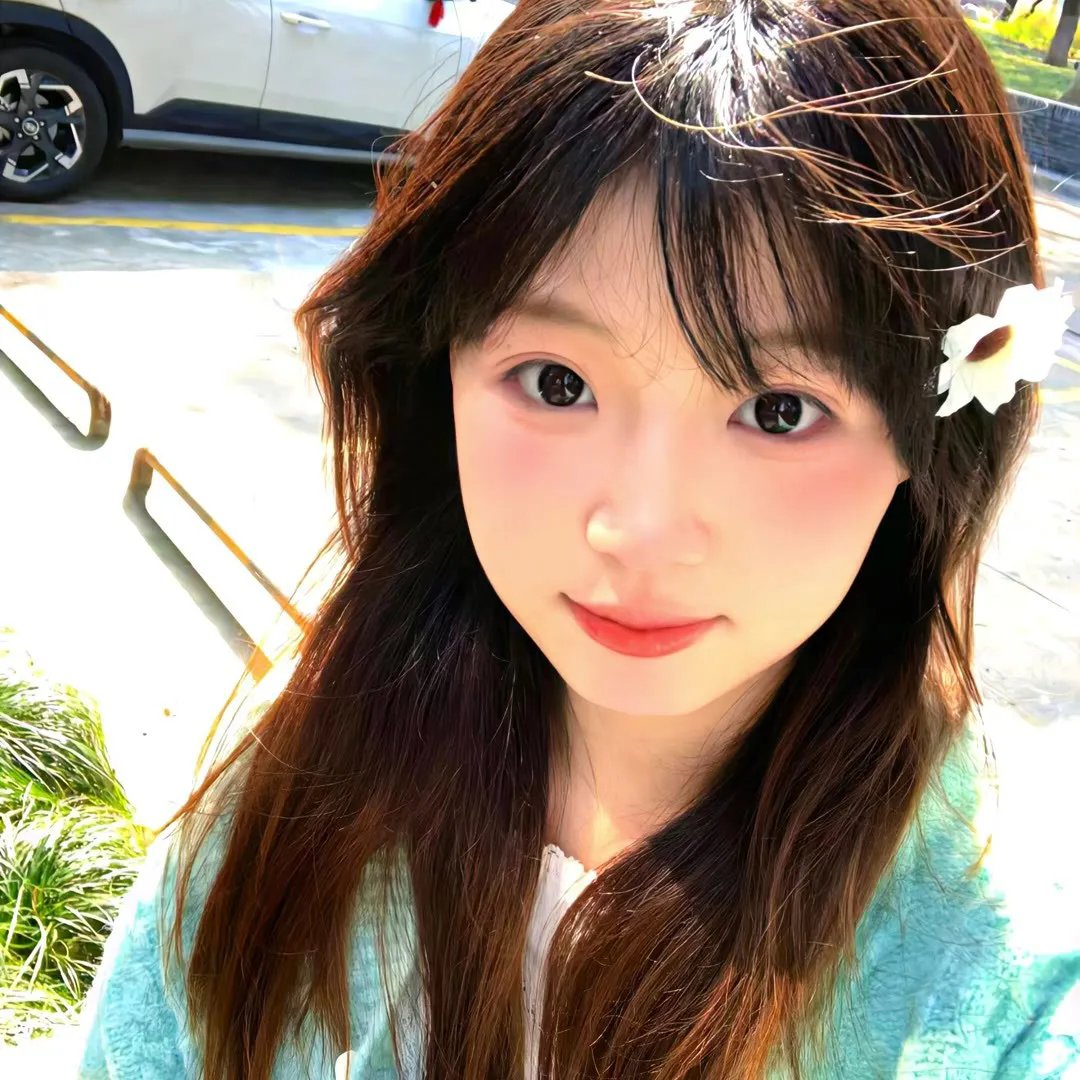 我爱猫头鹰